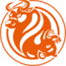 FXOpen logo